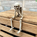 Bone-Chilling Shelf Sitters