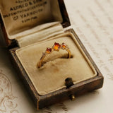 Eternal Amber Ring