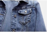 Celeste Classic Denim Jacket